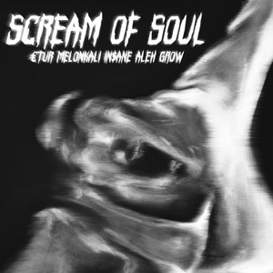 Scream Of Soul