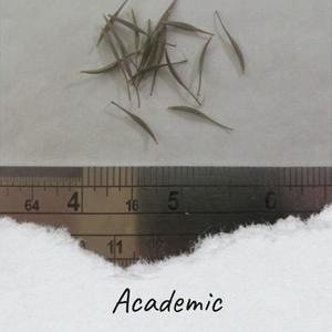 Academic