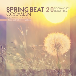 Spring Beat Occasion (2016 Edition) [20 Deep-House Smoothies] , Vol. 3