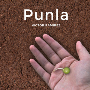 Punla