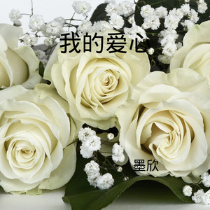 我的爱情像星星