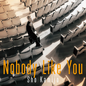 Nobody Like You