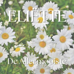 De Allermooiste