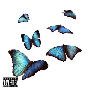 butterflies (in my head) [Explicit]