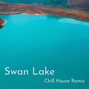 Swan Lake (Chill House Remix)