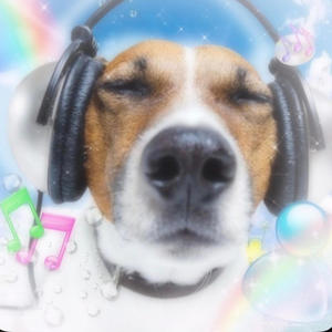 Luv fa 29 (Explicit)