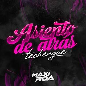 Asiento de atras (Techengue)