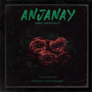 Anjanay(feat. Meemalif, Roshan & Taha)