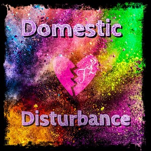 Domestic Disturbance