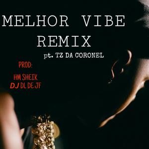 Melhor Vibe (pt. TZ da Coronel) (Remix)