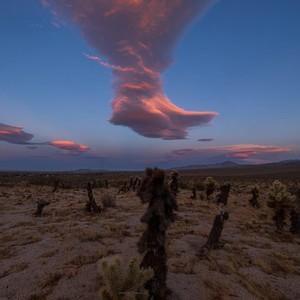 Ohh Yeaaa Juiced Up Pop Punk Emo Swag (Explicit)