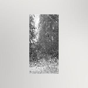 That Rainy Show at PNE