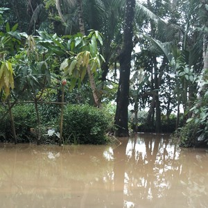 Memilikimu adalah tujuanku