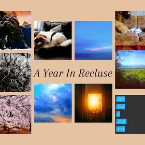 A Year In Recluse