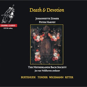 Wie liegt die Stadt so wüste