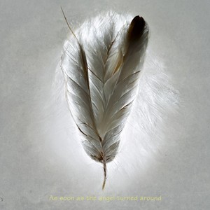 天使转身 angel turned