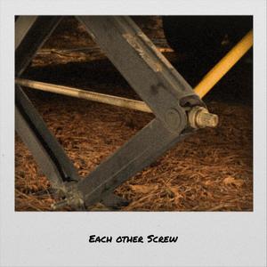 Each other Screw