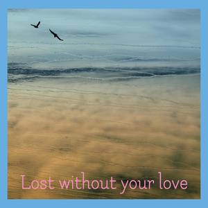 lost without