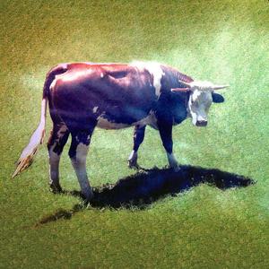 Summer '22 (feat. Frolov UA)