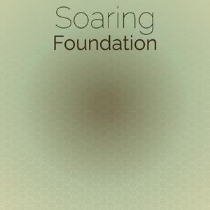 Soaring Foundation