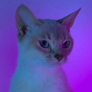 KnowKnow-Feelings. (52hz remix|ohwait./KnowKnow Remix)