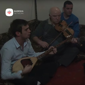 Tahir meha se njeh dorzimin