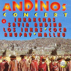 Andinos Concert