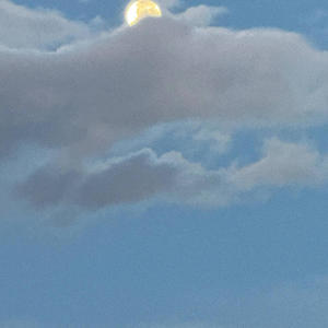 Light Show! (feat. Valentin Cernomaz)