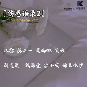 伤感语录2