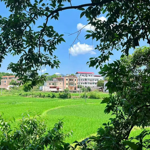 纸短情长 (氛围版)