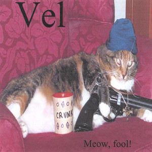 Meow, fool!