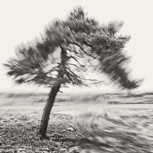 Chacarera de las piedras