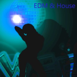 EDM & House