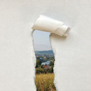 Белый лебедь