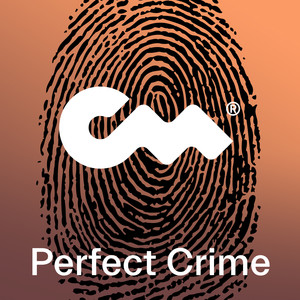 Perfect Crime (J Mike Remix)