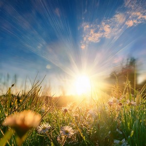 Waves That Fade Into Golden Silence