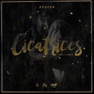 Poofer - Cicatrices