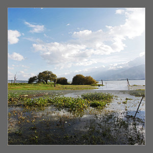 收藏十年火了十年