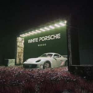 White Porsche