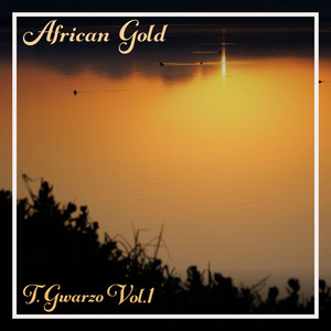 African Gold - T. Gwarzo, Vol. 1