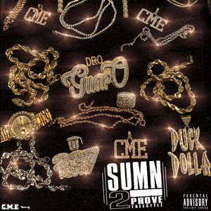 Sumn 2 Prove (Freestyle) (Explicit)