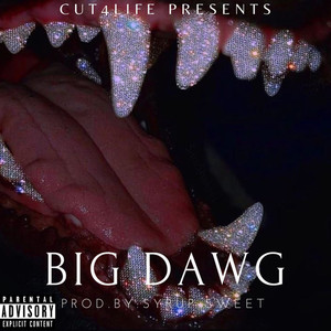 BIG DAWG (Explicit)