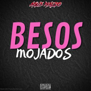 Besos Mojados (Guaracha)