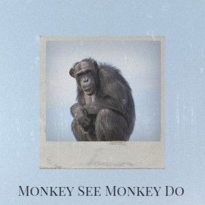 Monkey See Monkey Do