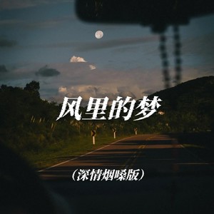 大头针 Official - 风里的梦 (深情烟嗓版)