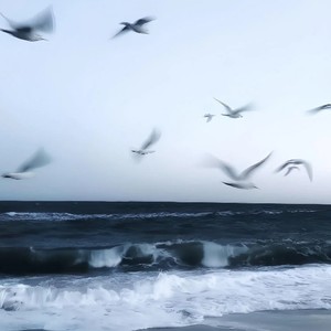 我的悲伤是水做的