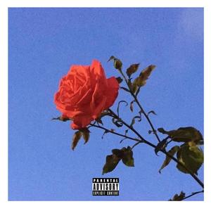 Chan Vekheya(Lofi Flip)[feat. Harnoor]