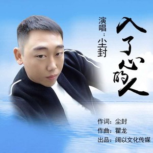 入了心的人