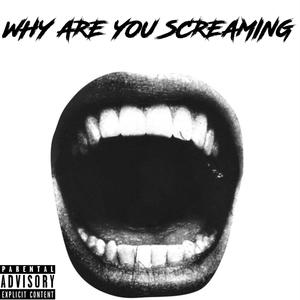 WHY ARE YOU SCREAMING (Explicit)