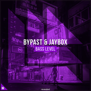 Bass Level (Extended Mix)